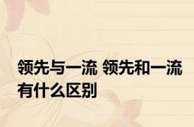 领先与一流 领先和一流有什么区别