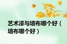 艺术漆与墙布哪个好（墙布哪个好）