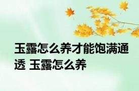 玉露怎么养才能饱满通透 玉露怎么养