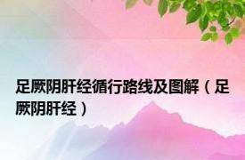 足厥阴肝经循行路线及图解（足厥阴肝经）