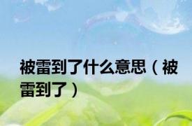 被雷到了什么意思（被雷到了）