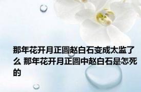 那年花开月正圆赵白石变成太监了么 那年花开月正圆中赵白石是怎死的