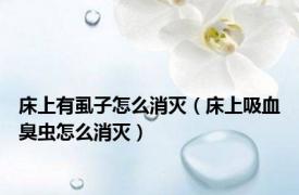 床上有虱子怎么消灭（床上吸血臭虫怎么消灭）