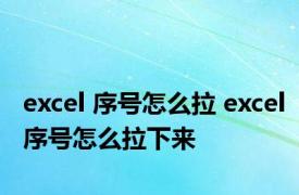 excel 序号怎么拉 excel序号怎么拉下来