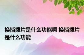 换挡拨片是什么功能啊 换挡拨片是什么功能