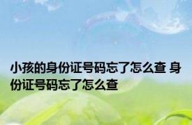 小孩的身份证号码忘了怎么查 身份证号码忘了怎么查