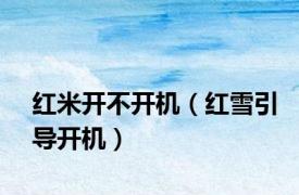 红米开不开机（红雪引导开机）
