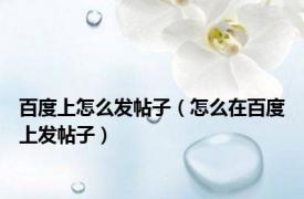 百度上怎么发帖子（怎么在百度上发帖子）