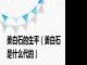 姜白石的生平（姜白石是什么代的）