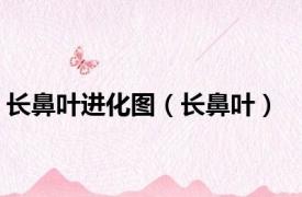 长鼻叶进化图（长鼻叶）