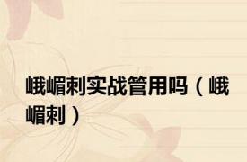 峨嵋刺实战管用吗（峨嵋刺）