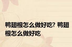 鸭翅根怎么做好吃? 鸭翅根怎么做好吃