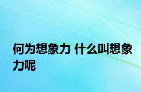 何为想象力 什么叫想象力呢