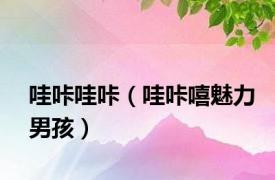 哇咔哇咔（哇咔嘻魅力男孩）