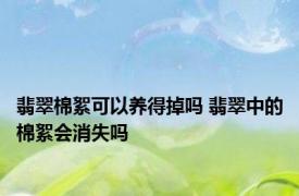 翡翠棉絮可以养得掉吗 翡翠中的棉絮会消失吗