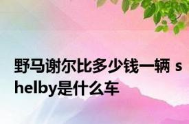 野马谢尔比多少钱一辆 shelby是什么车