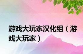 游戏大玩家汉化组（游戏大玩家）