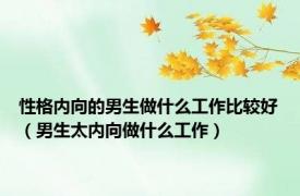 性格内向的男生做什么工作比较好（男生太内向做什么工作）