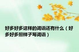 好多好多这样的词语还有什么（好多好多照样子写词语）