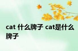 cat 什么牌子 cat是什么牌子
