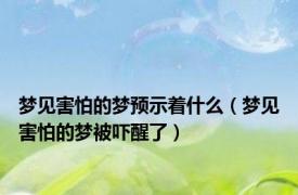 梦见害怕的梦预示着什么（梦见害怕的梦被吓醒了）