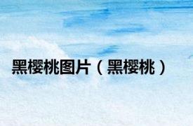 黑樱桃图片（黑樱桃）