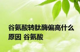 谷氨酸转肽酶偏高什么原因 谷氨酸 
