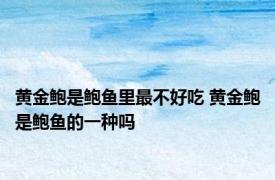 黄金鲍是鲍鱼里最不好吃 黄金鲍是鲍鱼的一种吗