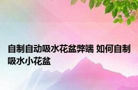 自制自动吸水花盆弊端 如何自制吸水小花盆