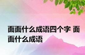 面面什么成语四个字 面面什么成语