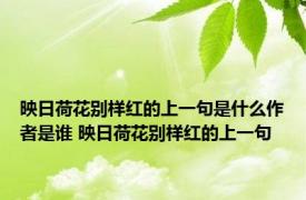 映日荷花别样红的上一句是什么作者是谁 映日荷花别样红的上一句