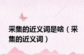 采集的近义词是啥（采集的近义词）