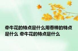 牵牛花的特点是什么用春棒的特点是什么 牵牛花的特点是什么