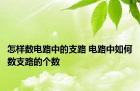 怎样数电路中的支路 电路中如何数支路的个数