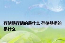 存储器存储的是什么 存储器指的是什么