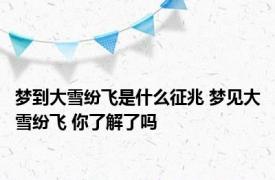 梦到大雪纷飞是什么征兆 梦见大雪纷飞 你了解了吗