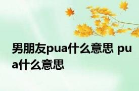 男朋友pua什么意思 pua什么意思