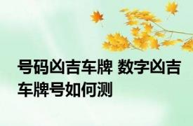号码凶吉车牌 数字凶吉车牌号如何测