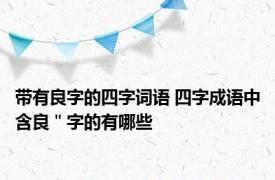 带有良字的四字词语 四字成语中含良＂字的有哪些