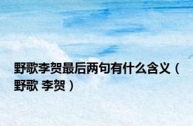 野歌李贺最后两句有什么含义（野歌 李贺）