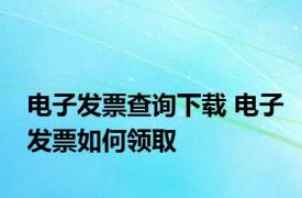 电子发票查询下载 电子发票如何领取