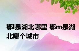 鄂l是湖北哪里 鄂m是湖北哪个城市