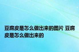 豆腐皮是怎么做出来的图片 豆腐皮是怎么做出来的