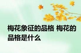 梅花象征的品格 梅花的品格是什么