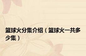 篮球火分集介绍（篮球火一共多少集）