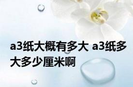 a3纸大概有多大 a3纸多大多少厘米啊
