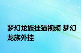 梦幻龙族挂猫视频 梦幻龙族外挂 