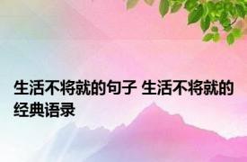 生活不将就的句子 生活不将就的经典语录