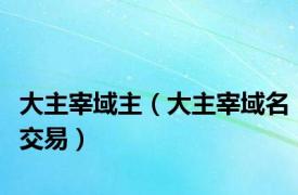 大主宰域主（大主宰域名交易）