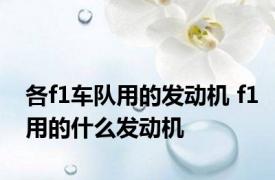 各f1车队用的发动机 f1用的什么发动机